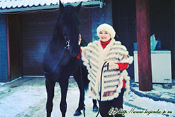 лошади Племенного Центра Легенда Подмосковья